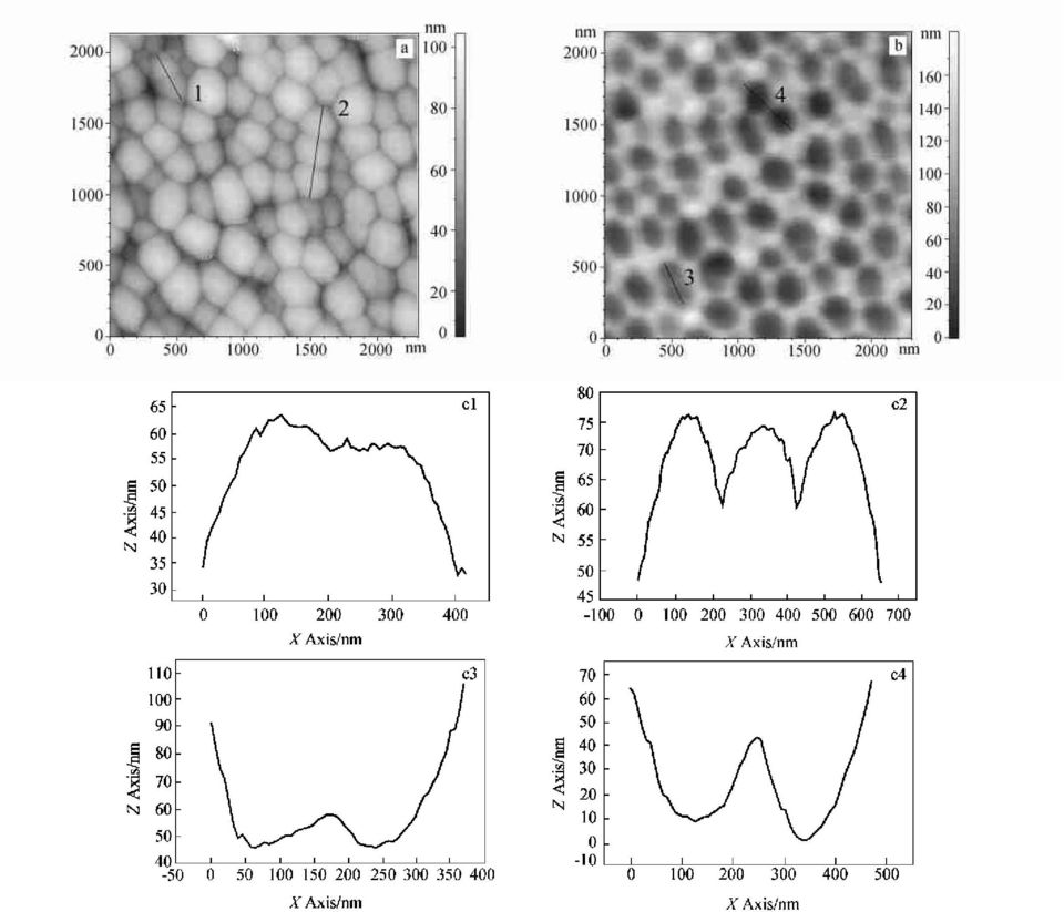 L phosphoric acid solution (a) barrier layer structure ; (b) surface structure ; (c) line profiles