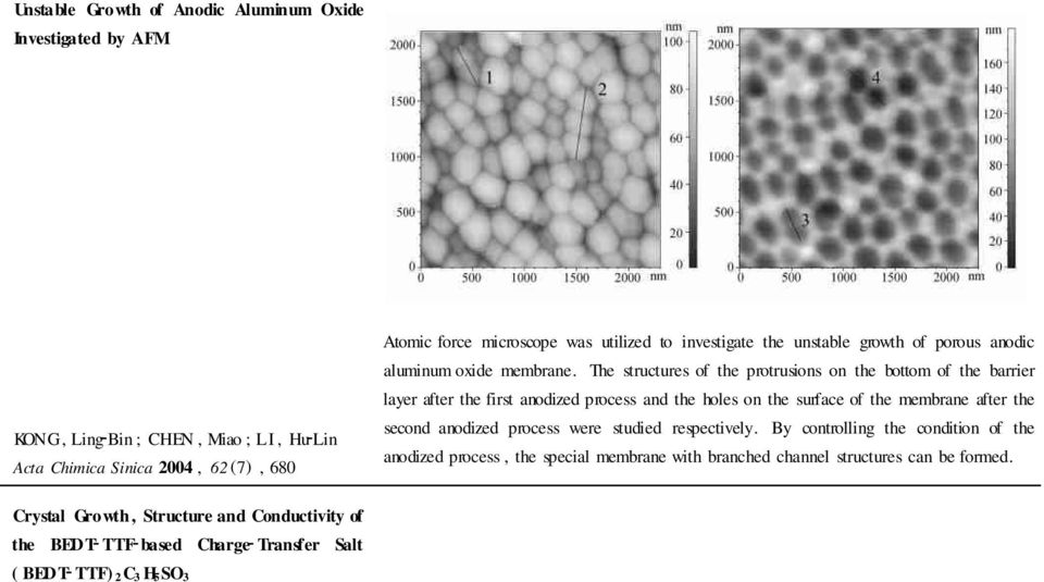 holes on the surface of the membrane after the second anodized process were studied respectively By controlling the condition of the anodized process, the special membrane with branched channel