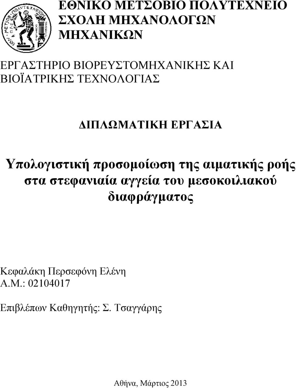 προσομοίωση της αιματικής ροής στα στεφανιαία αγγεία του μεσοκοιλιακού