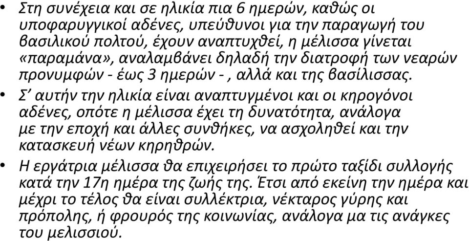 Σ αυτιν τθν θλικία είναι αναπτυγμζνοι και οι κθρογόνοι αδζνεσ, οπότε θ μζλιςςα ζχει τθ δυνατότθτα, ανάλογα με τθν εποχι και άλλεσ ςυνκικεσ, να αςχολθκεί και τθν καταςκευι