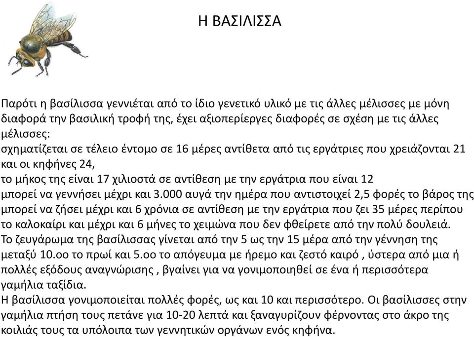 000 αυγά τθν θμζρα που αντιςτοιχεί 2,5 φορζσ το βάροσ τθσ μπορεί να ηιςει μζχρι και 6 χρόνια ςε αντίκεςθ με τθν εργάτρια που ηει 35 μζρεσ περίπου το καλοκαίρι και μζχρι και 6 μινεσ το χειμϊνα που δεν