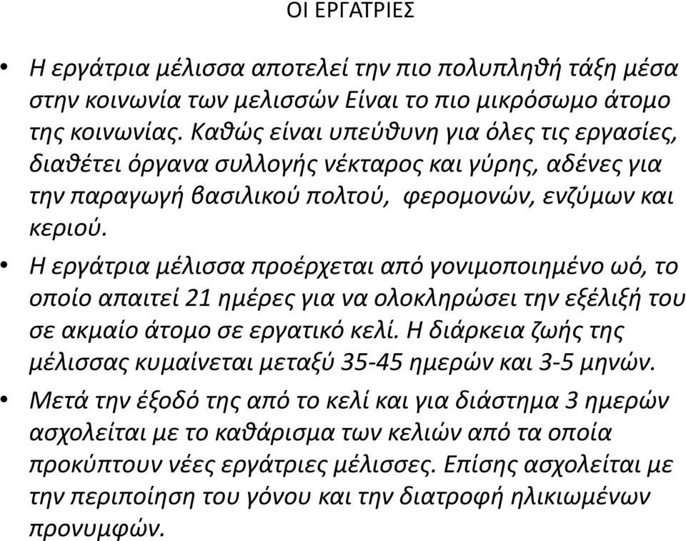 Η εργάτρια μζλιςςα προζρχεται από γονιμοποιθμζνο ωό, το οποίο απαιτεί 21 θμζρεσ για να ολοκλθρώςει τθν εξζλιξι του ςε ακμαίο άτομο ςε εργατικό κελί.