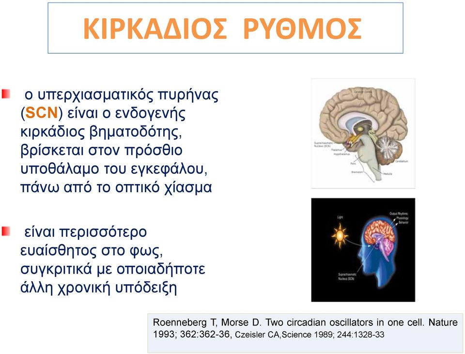 ευαίσθητος στο φως, συγκριτικά με οποιαδήποτε άλλη χρονική υπόδειξη Roenneberg T, Morse D.