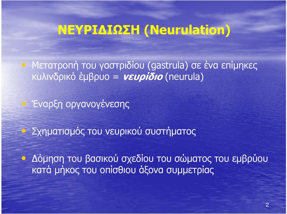 οργανογένεσης Σχηματισμός του νευρικού συστήματος όμηση του