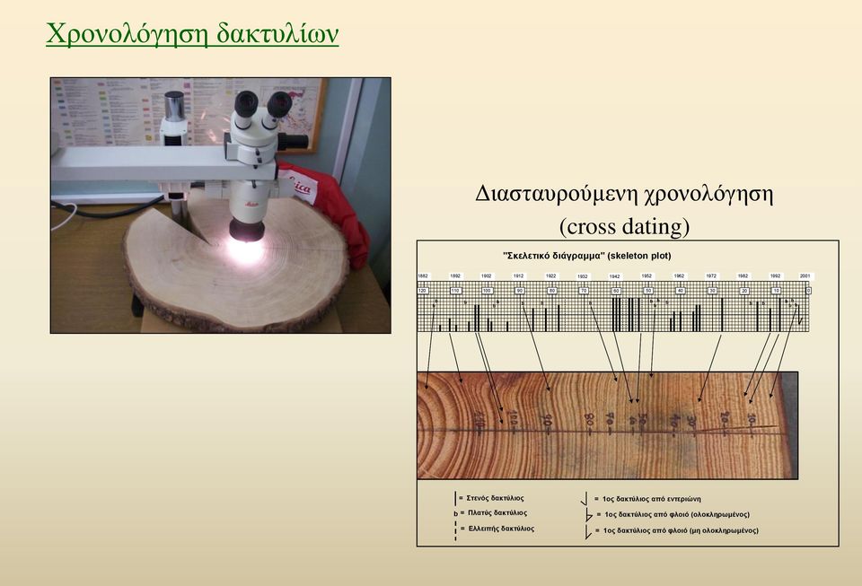 50 40 30 20 10 0 = Στενός δακτύλιος = Πλατύς δακτύλιος = Ελλειπής δακτύλιος = 1ος δακτύλιος από