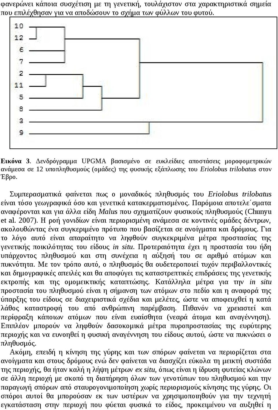 Συμπερασματικά φαίνεται πως ο μοναδικός πληθυσμός του Eriolobus trilobatus είναι τόσο γεωγραφικά όσο και γενετικά κατακερματισμένος.