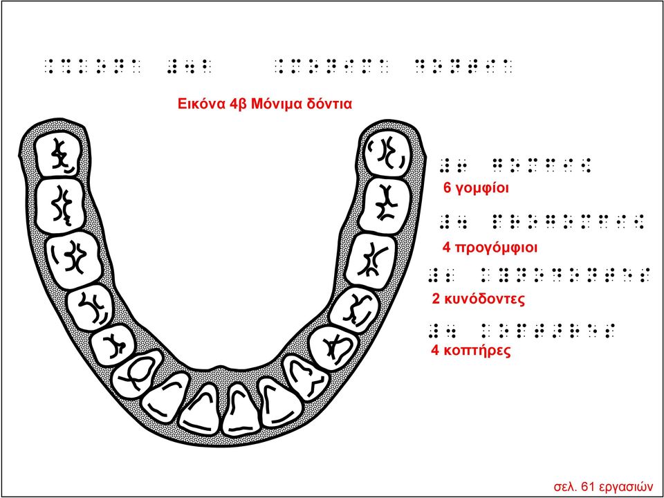 OWU[UMKJj 4 προγόμφιοι F E}]UYU]^QN 2