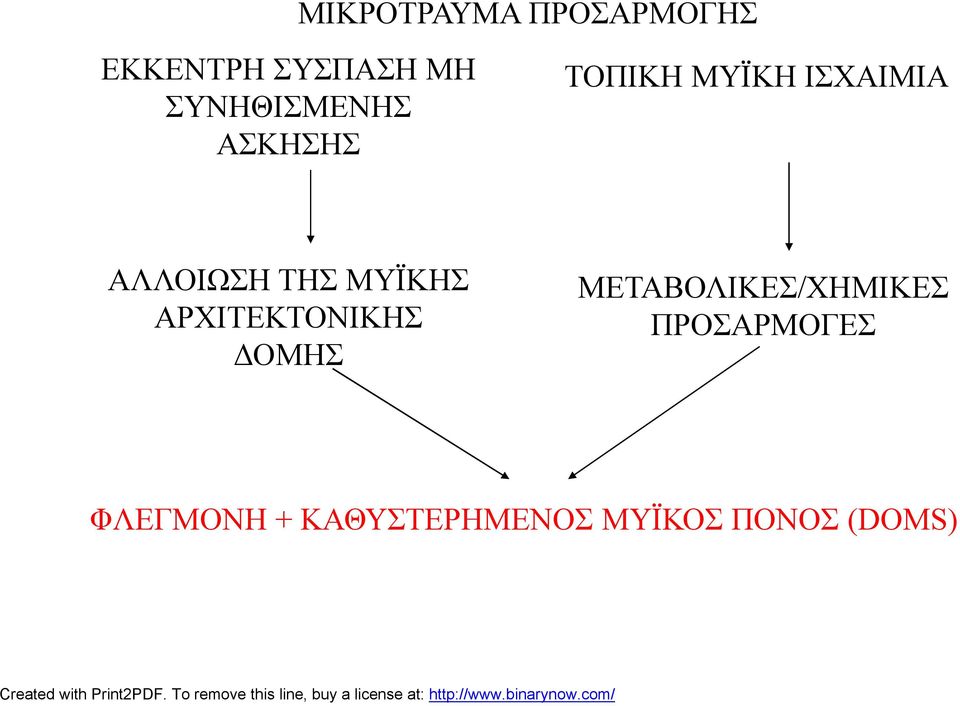 ΤΗΣ ΜΥΪΚΗΣ ΑΡΧΙΤΕΚΤΟΝΙΚΗΣ ΔΟΜΗΣ ΜΕΤΑΒΟΛΙΚΕΣ/ΧΗΜΙΚΕΣ