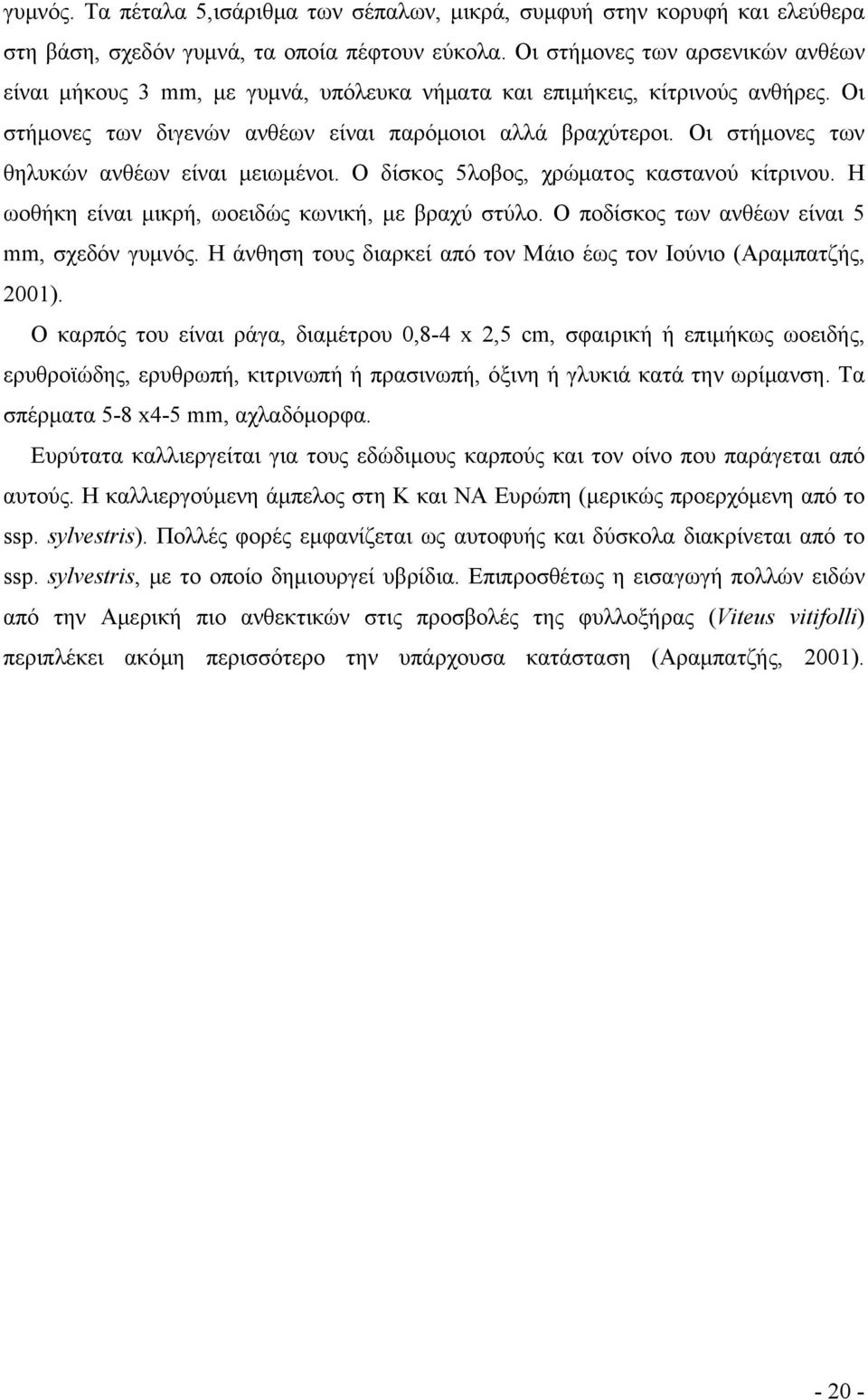 Οι στήμονες των θηλυκών ανθέων είναι μειωμένοι. Ο δίσκος 5λοβος, χρώματος καστανού κίτρινου. Η ωοθήκη είναι μικρή, ωοειδώς κωνική, με βραχύ στύλο. Ο ποδίσκος των ανθέων είναι 5 mm, σχεδόν γυμνός.