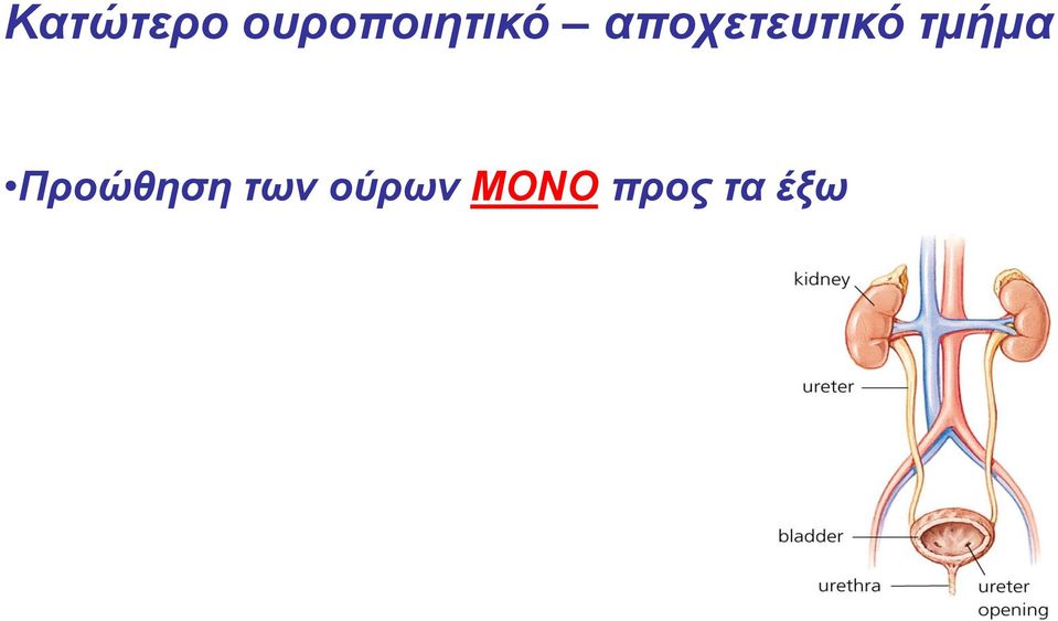 αποχετευτικό τμήμα