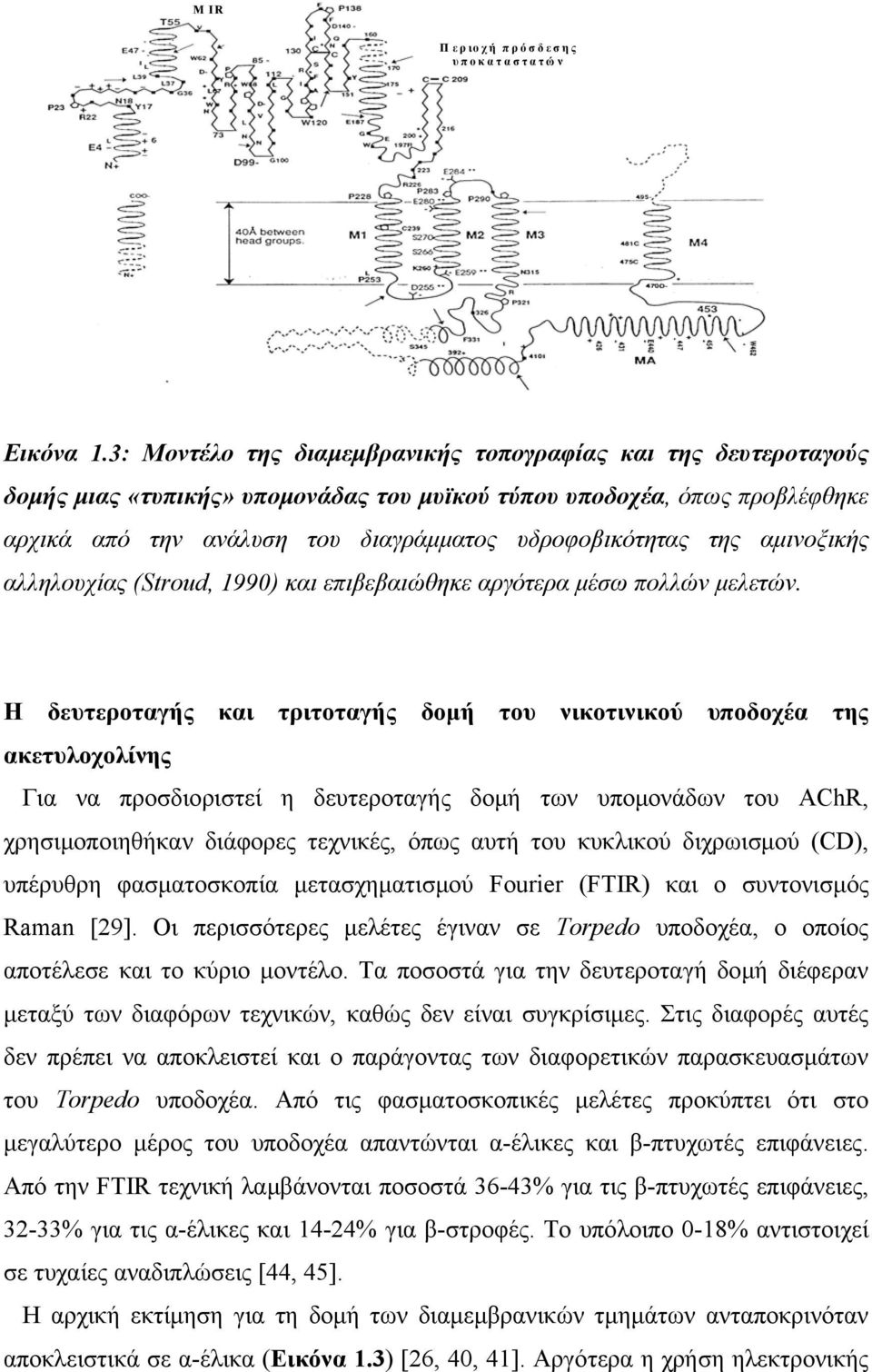 αμινοξικής αλληλουχίας (Stroud, 1990) και επιβεβαιώθηκε αργότερα μέσω πολλών μελετών.