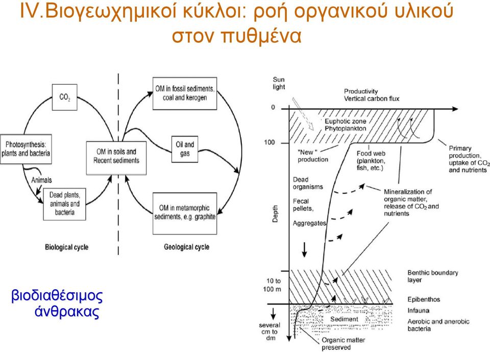 οργανικού υλικού