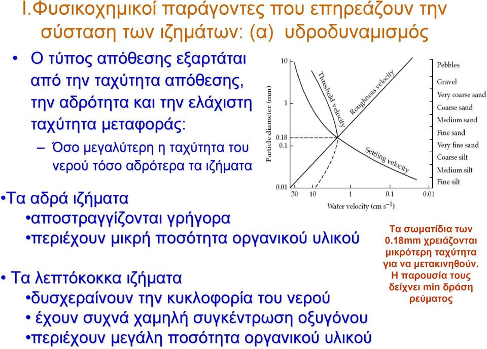 περιέχουν μικρή ποσότητα οργανικού υλικού Τα λεπτόκοκκα ιζήματα δυσχεραίνουν την κυκλοφορία του νερού έχουν συχνά χαμηλή συγκέντρωση οξυγόνου