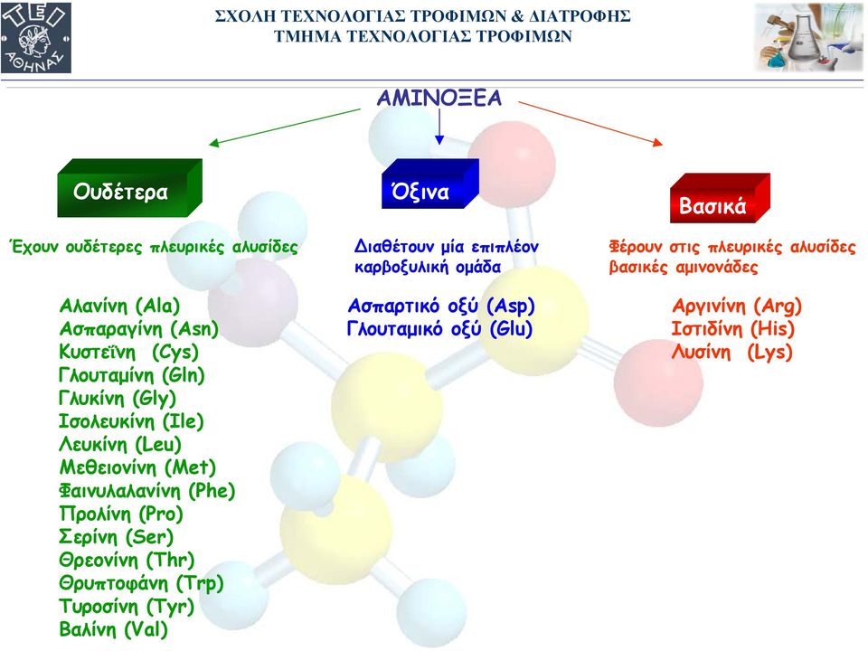 Σερίνη (Ser) Θρεονίνη (Thr) Θρυπτοφάνη (Trp) Τυροσίνη (Tyr) Βαλίνη (Val) ιαθέτουν µία επιπλέον καρβοξυλική οµάδα