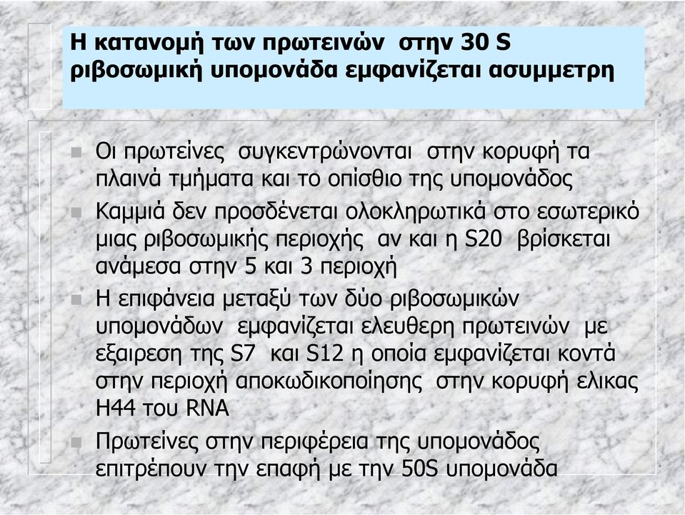 και 3 περιοχή Η επιφάνεια μεταξύ των δύο ριβοσωμικών υπομονάδων εμφανίζεται ελευθερη πρωτεινών με εξαιρεση της S7 και S12 η οποία εμφανίζεται