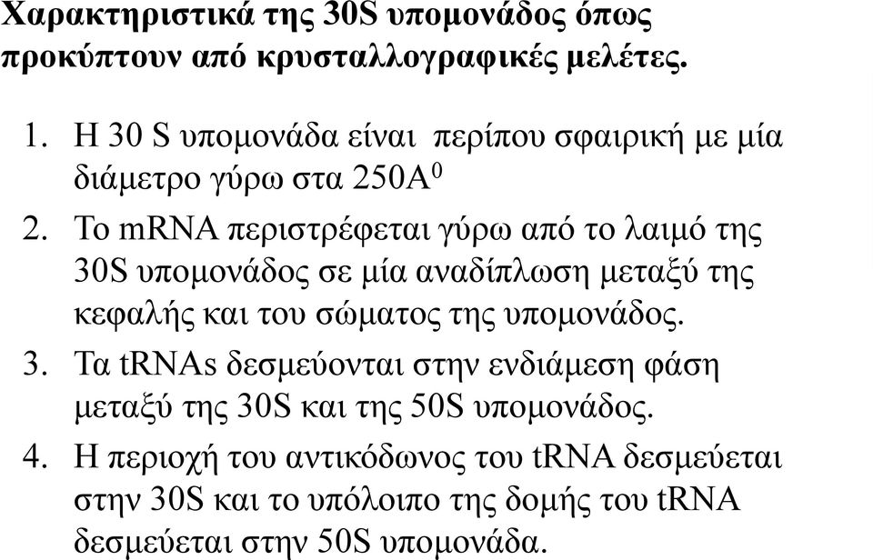 Το mrna περιστρέφεται γύρω από το λαιμό της 30S υπομονάδος σε μία αναδίπλωση μεταξύ της κεφαλής και του σώματος της