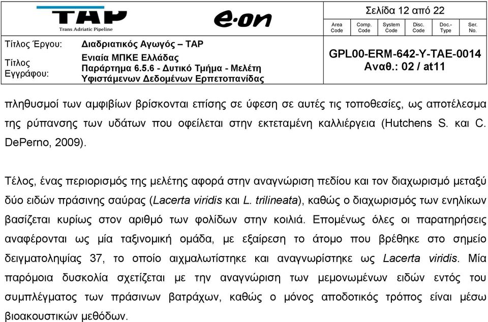 trilineata), καθώς ο διαχωρισμός των ενηλίκων βασίζεται κυρίως στον αριθμό των φολίδων στην κοιλιά.