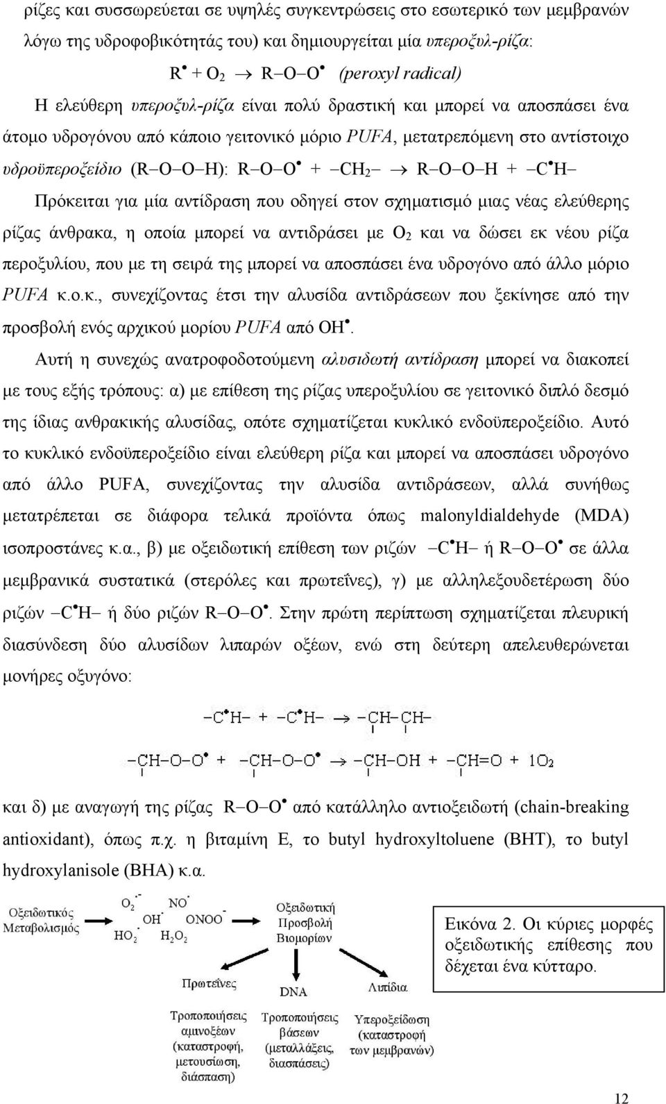 αντίδραση που οδηγεί στον σχηματισμό μιας νέας ελεύθερης ρίζας άνθρακα, η οποία μπορεί να αντιδράσει με Ο 2 και να δώσει εκ νέου ρίζα περοξυλίου, που με τη σειρά της μπορεί να αποσπάσει ένα υδρογόνο