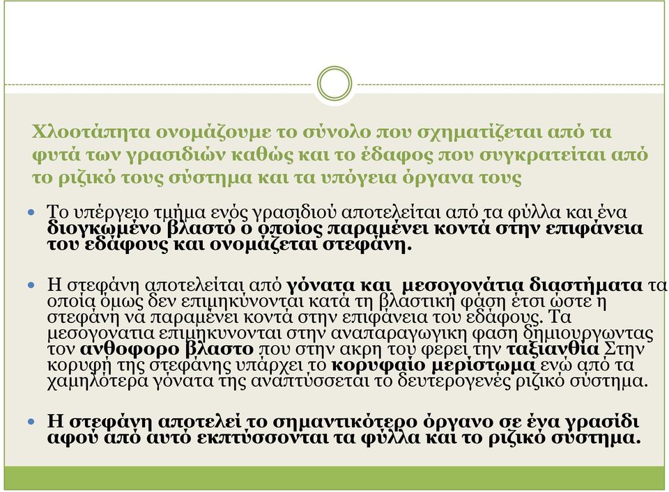 Η ζηεθάλε απνηειείηαη από γόλαηα θαη µεζνγνλάηηα δηαζηήµαηα ηα νπνία όµσο δελ επηµεθύλνληαη θαηά ηε βιαζηηθή θάζε έηζη ώζηε ε ζηεθάλε λα παξαµέλεη θνληά ζηελ επηθάλεηα ηνπ εδάθνπο.