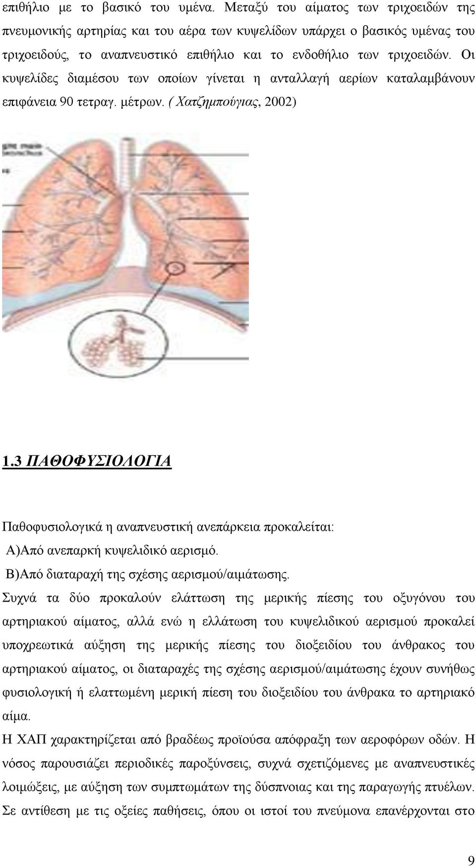 Οη θπςειίδεο δηακέζνπ ησλ νπνίσλ γίλεηαη ε αληαιιαγή αεξίσλ θαηαιακβάλνπλ επηθάλεηα 90 ηεηξαγ. κέηξσλ. ( Υαηδεκπνύγηαο, 2002) 1.