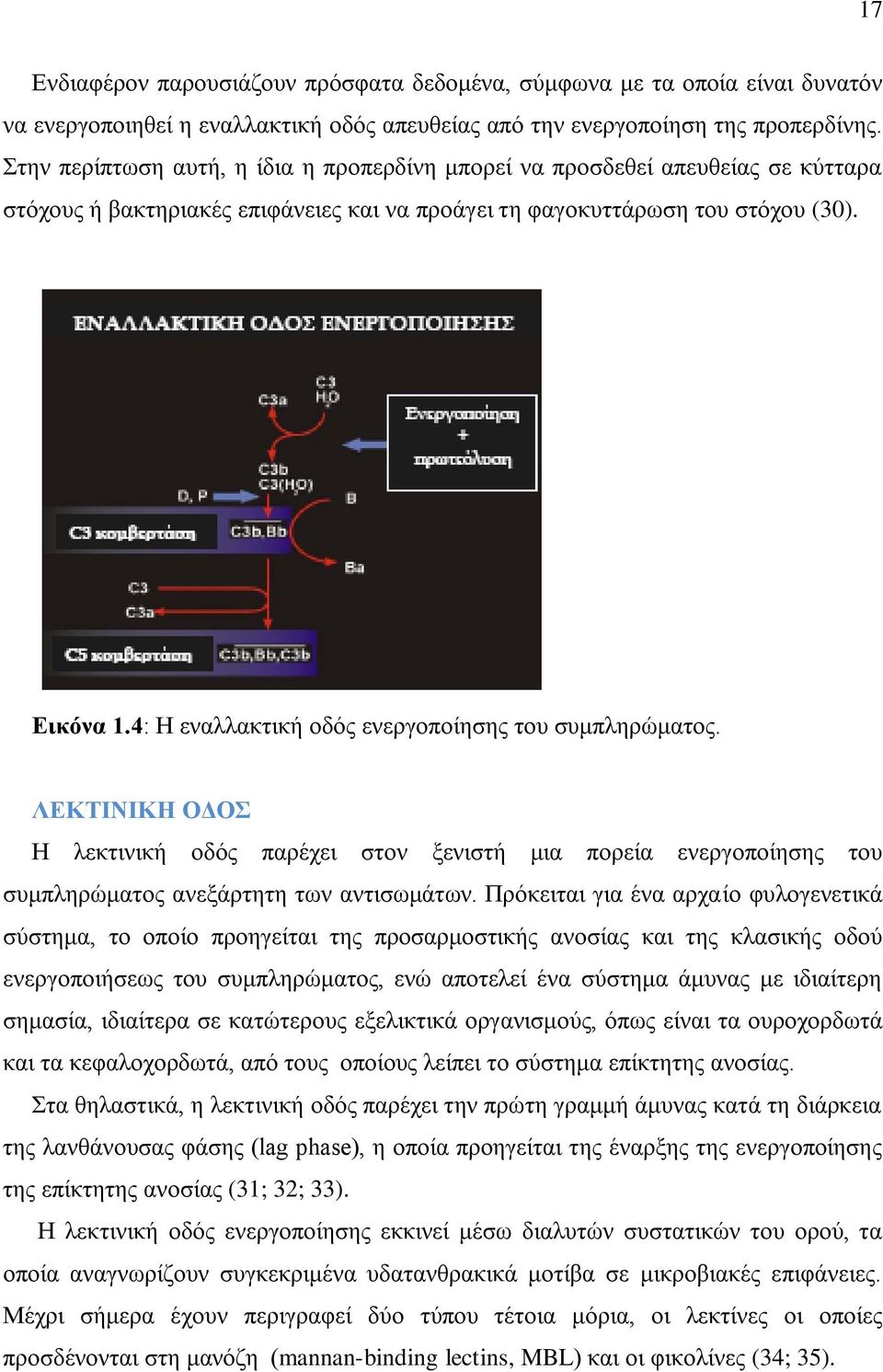 4: Ζ ελαιιαθηηθή νδφο ελεξγνπνίεζεο ηνπ ζπκπιεξψκαηνο. ΛΔΚΣΗΝΗΚΖ ΟΓΟ Ζ ιεθηηληθή νδφο παξέρεη ζηνλ μεληζηή κηα πνξεία ελεξγνπνίεζεο ηνπ ζπκπιεξψκαηνο αλεμάξηεηε ησλ αληηζσκάησλ.