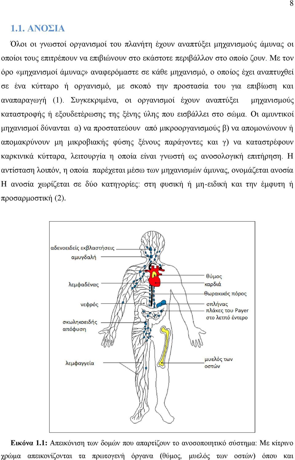 πγθεθξηκέλα, νη νξγαληζκνί έρνπλ αλαπηχμεη κεραληζκνχο θαηαζηξνθήο ή εμνπδεηέξσζεο ηεο μέλεο χιεο πνπ εηζβάιιεη ζην ζψκα.