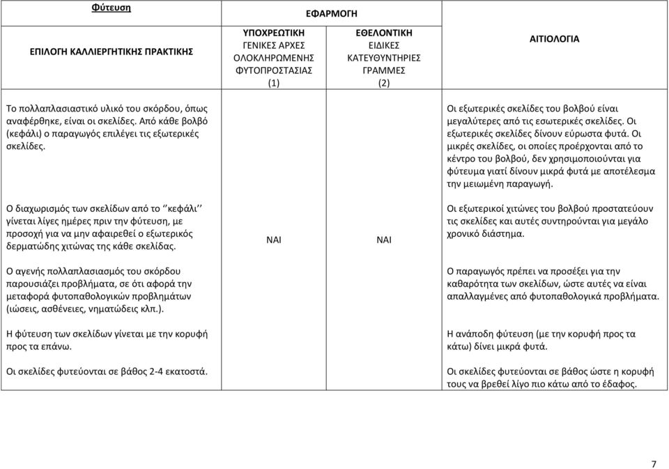 Οι μικρές σκελίδες, οι οποίες προέρχονται από το κέντρο του βολβού, δεν χρησιμοποιούνται για φύτευμα γιατί δίνουν μικρά φυτά με αποτέλεσμα την μειωμένη παραγωγή.