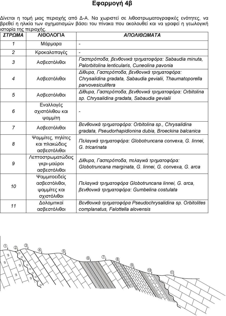 ΣΤΡΩΜΑ ΛΙΘΟΛΟΓΙΑ ΑΠΟΛΙΘΩΜΑΤΑ 1 Μάρμαρα - 2 Κροκαλοπαγές - 3 Ασβεστόλιθοι Γαστερόποδα, βενθονικά τρηματοφόρα: Sabaudia minuta, Palorbitolina lenticularis, Cuneolina pavonia 4 Ασβεστόλιθοι Δίθυρα,