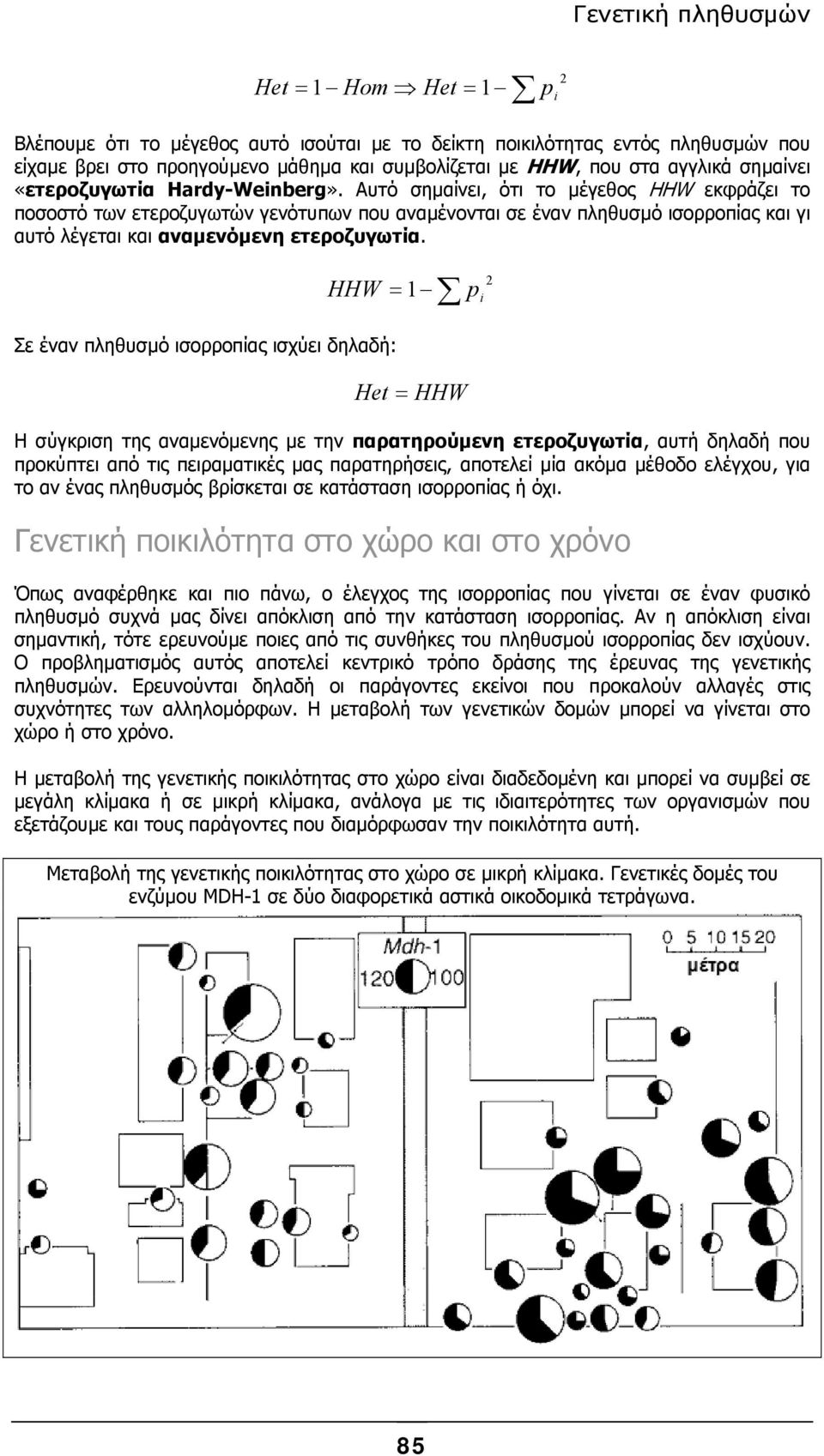 Αυτό σηµαίνει, ότι το µέγεθος HHW εκφράζει το ποσοστό των ετεροζυγωτών γενότυπων που αναµένονται σε έναν πληθυσµό ισορροπίας και γι αυτό λέγεται και αναµενόµενη ετεροζυγωτία.