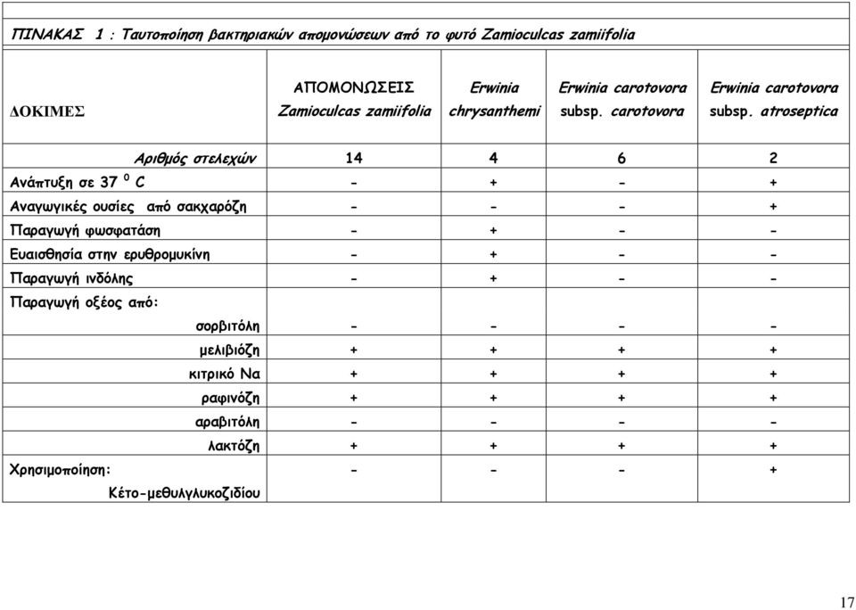 atroseptica Αριθµός στελεχών 14 4 6 2 Ανάπτυξη σε 37 0 C - + - + Αναγωγικές ουσίες από σακχαρόζη - - - + Παραγωγή φωσφατάση - + - - Ευαισθησία