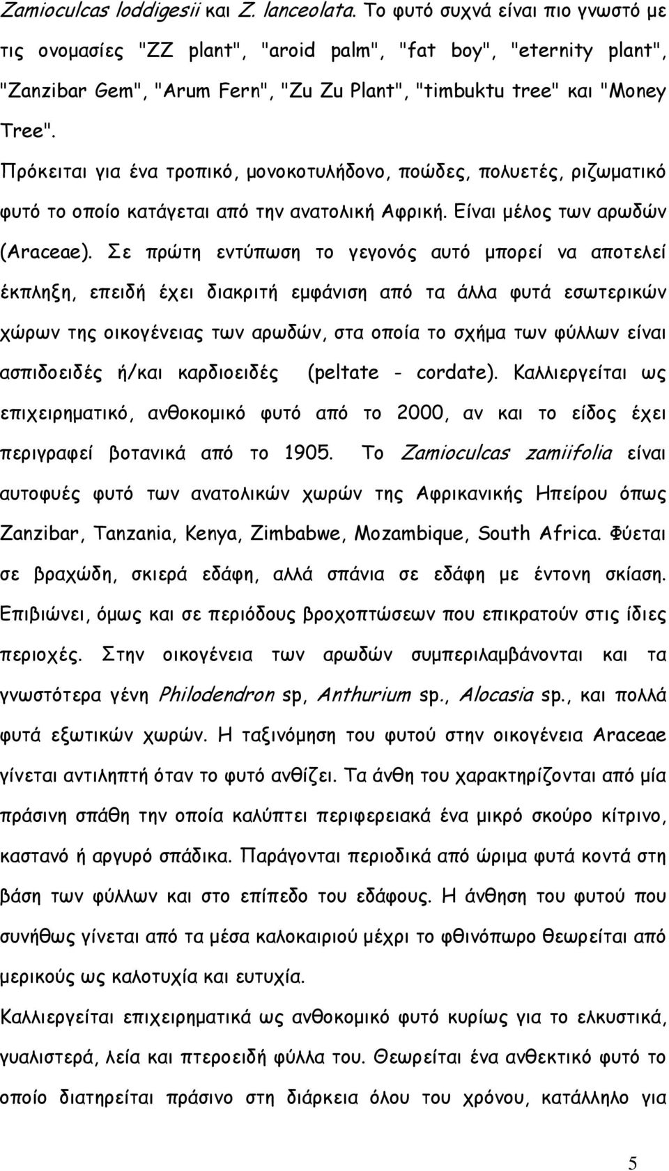 Πρόκειται για ένα τροπικό, µονοκοτυλήδονο, ποώδες, πολυετές, ριζωµατικό φυτό το οποίο κατάγεται από την ανατολική Αφρική. Είναι µέλος των αρωδών (Araceae).