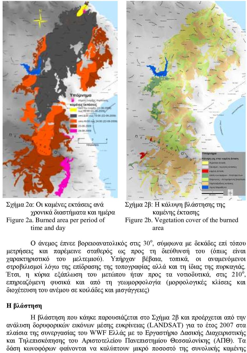 μελτεμιού). Υπήρχαν βέβαια, τοπικά, οι αναμενόμενοι στροβιλισμοί λόγω της επίδρασης της τοπογραφίας αλλά και τη ίδιας της πυρκαγιάς.