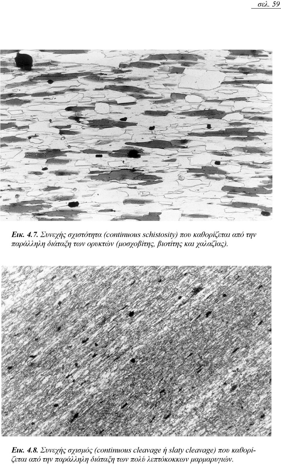 παράλληλη διάταξη των ορυκτών (µοσχοβίτης, βιοτίτης και χαλαζίας). Εικ. 4.