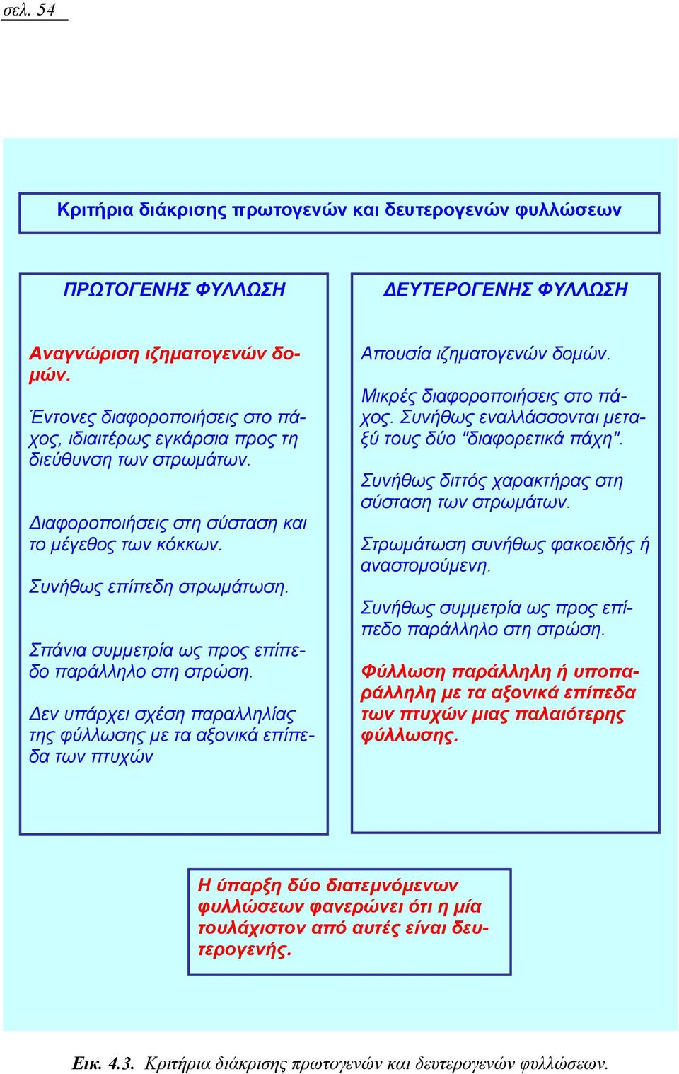 Σπάνια συµµετρία ως προς επίπεδο παράλληλο στη στρώση. εν υπάρχει σχέση παραλληλίας της φύλλωσης µε τα αξονικά επίπεδα των πτυχών Απουσία ιζηµατογενών δοµών. Μικρές διαφοροποιήσεις στο πάχος.