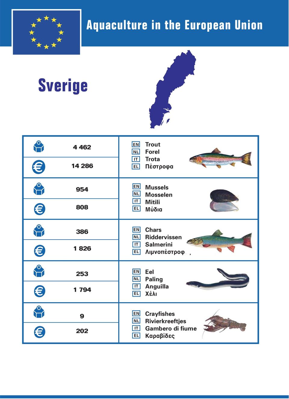 253 1 794 Eel Paling Anguilla Χέλι 9 202