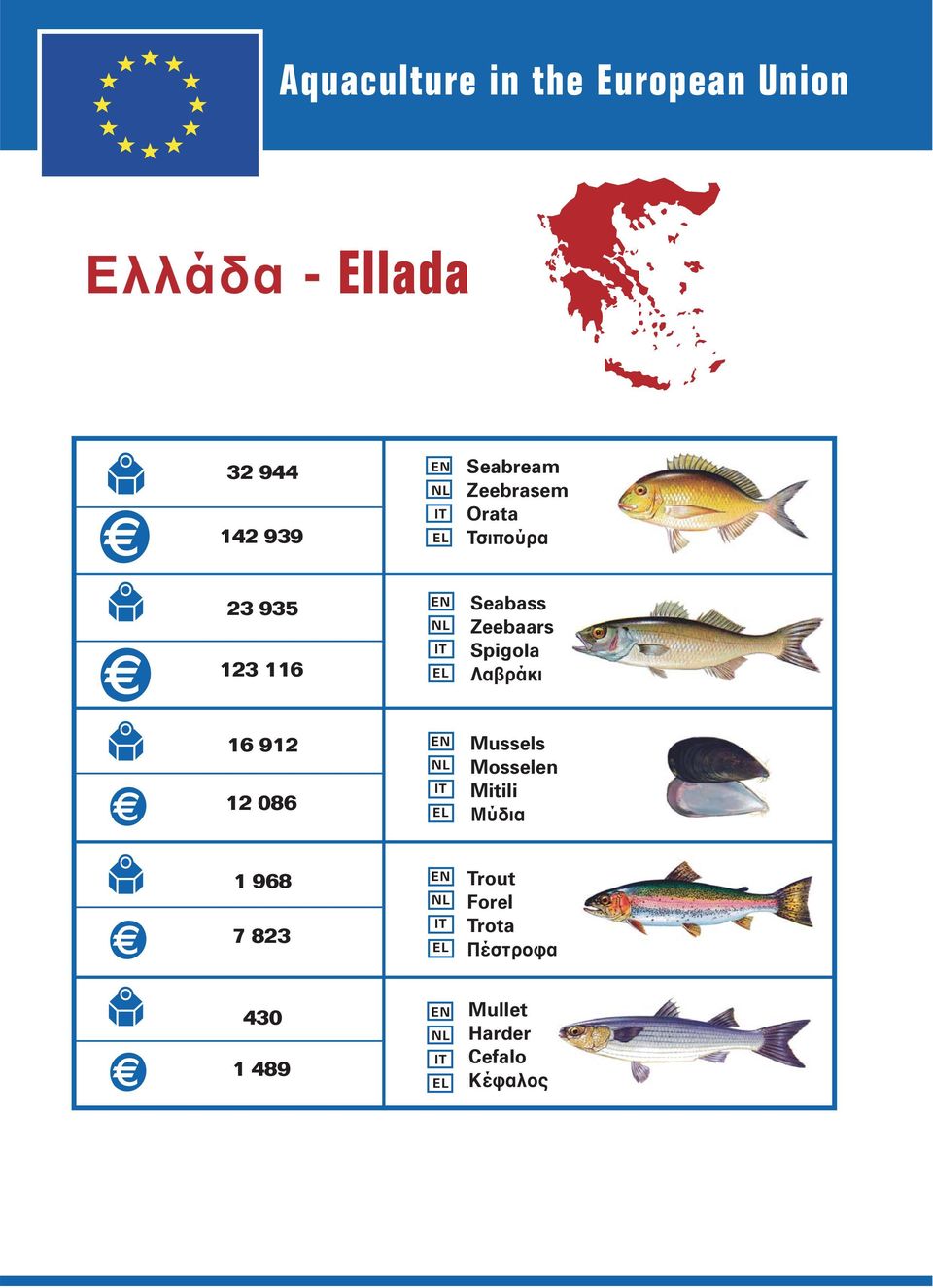 Seabass Zeebaars Spigola Λαβράκι 16 912 12