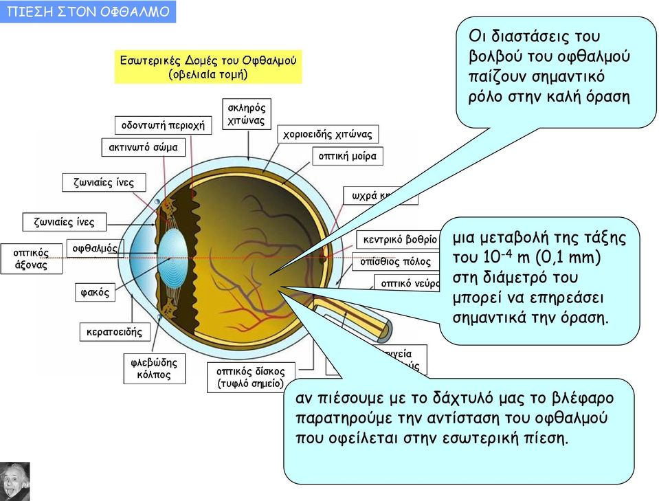 του μπορεί να επηρεάσει σημαντικά την όραση.