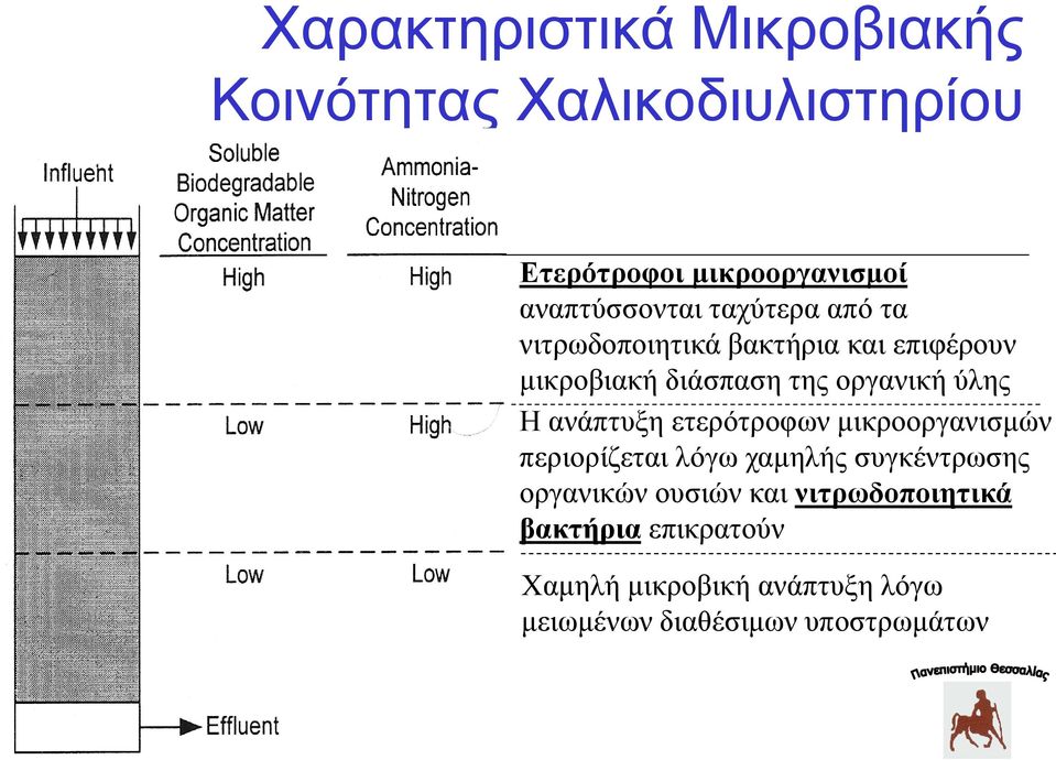 νξγαληθή ύιεο Η αλάπηπμε εηεξόηξνθωλ κηθξννξγαληζκώλ πεξηνξίδεηαη ιόγω ρακειήο ζπγθέληξωζεο