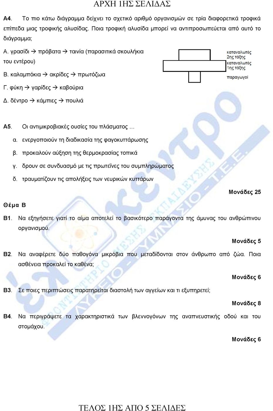 ελεξγνπνηνύλ ηε δηαδηθαζία ηεο θαγνθπηηάξσζεο β. πξνθαινύλ αύμεζε ηεο ζεξκνθξαζίαο ηνπηθά γ. δξνπλ ζε ζπλδπαζκό κε ηηο πξσηεΐλεο ηνπ ζπκπιεξώκαηνο δ.