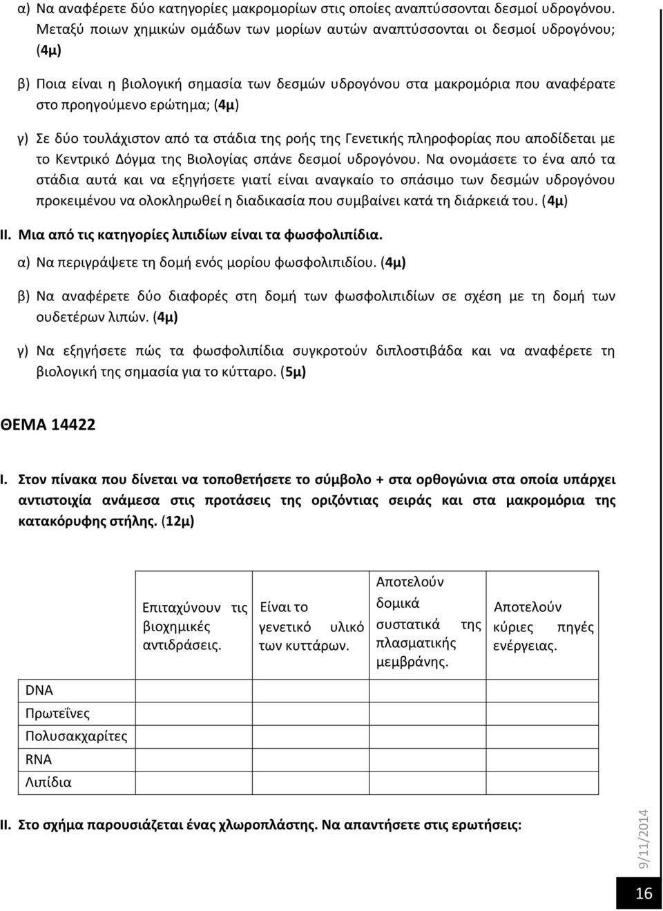 γ) Σε δύο τουλάχιστον από τα στάδια της ροής της Γενετικής πληροφορίας που αποδίδεται με το Κεντρικό Δόγμα της Βιολογίας σπάνε δεσμοί υδρογόνου.