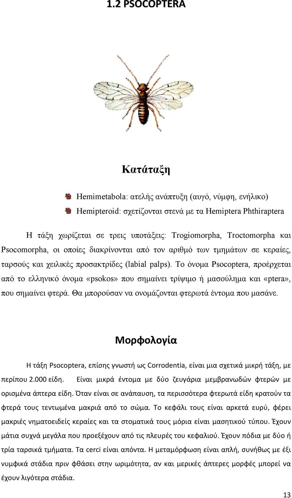 Το όνομα Psocoptera, προέρχεται από το ελληνικό όνομα «psokos» που σημαίνει τρίψιμο ή μασούλημα και «ptera», που σημαίνει φτερά. Θα μπορούσαν να ονομάζονται φτερωτά έντομα που μασάνε.