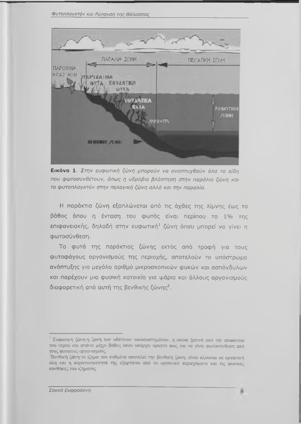 Η παράκτια ζώνη εξαπλώνεται από τις όχθες της λίμνης έως τα βάθος όπου η ένταση του φωτός είναι περίπου το 1 % της επιφανειακής, δηλαδή στην ευφωτική^ ζώνη όποΐι μπορεί να γίνει η φωτοσύνθεση.