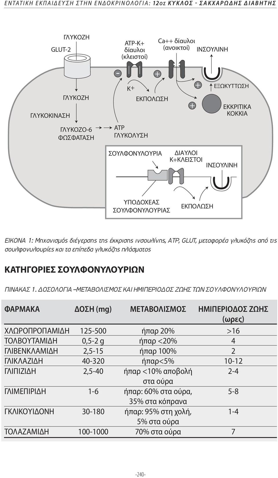 σουλφονυλουρίες και τα επίπεδα γλυκόζης πλάσµατος ΚΑΤΗΓΟΡΙΕΣ ΣΟΥΛΦΟΝΥΛΟΥΡΙΩΝ ΠΙΝΑΚΑΣ 1.