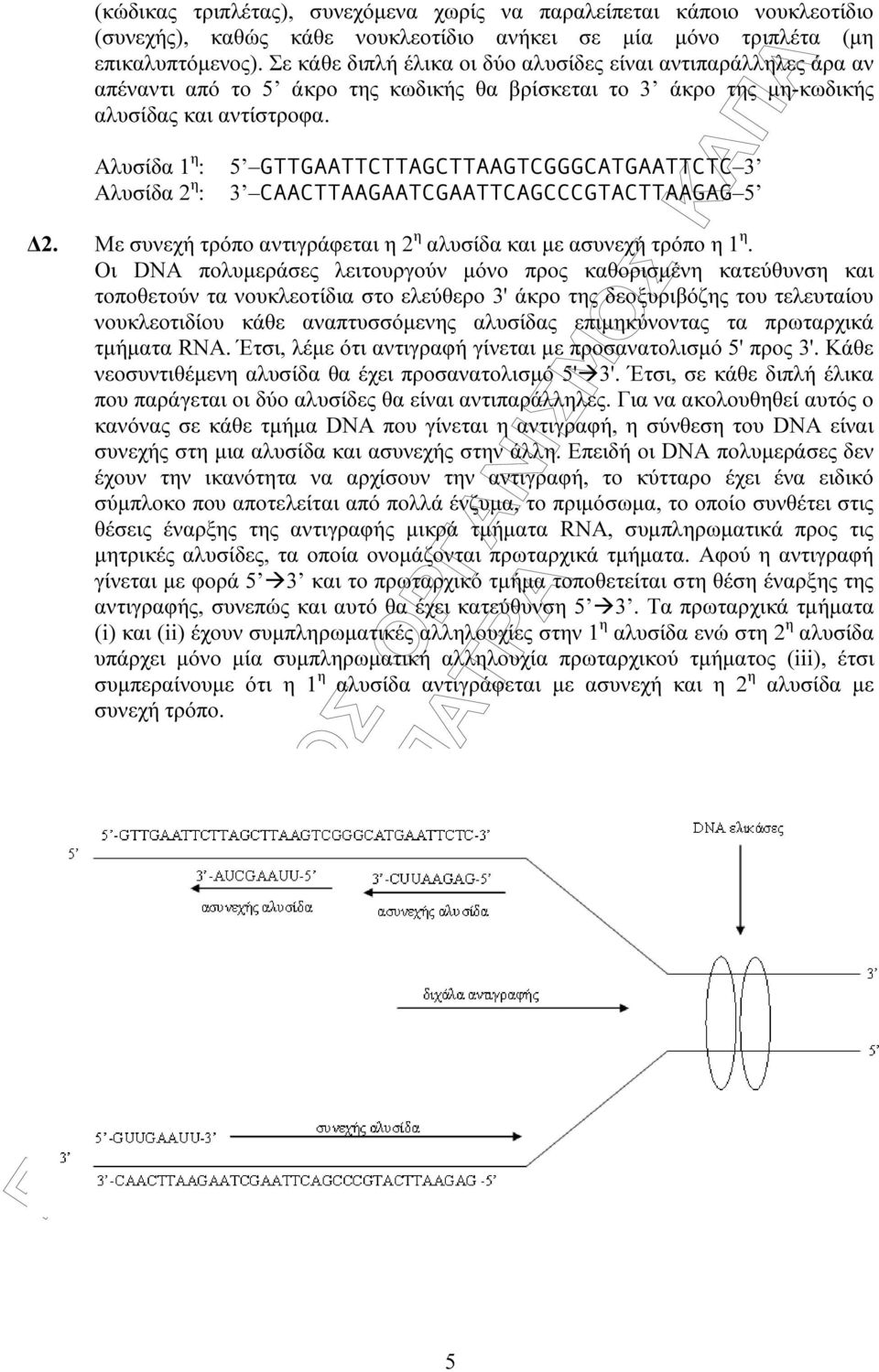 Αλυσίδα 1 η : Αλυσίδα 2 η : 5 GTTGAATTCTTAGCTTAAGTCGGGCATGAATTCTC 3 3 CAACTTAAGAATCGAATTCAGCCCGTACTTAAGAG 5 2. Με συνεχή τρόπο αντιγράφεται η 2 η αλυσίδα και µε ασυνεχή τρόπο η 1 η.