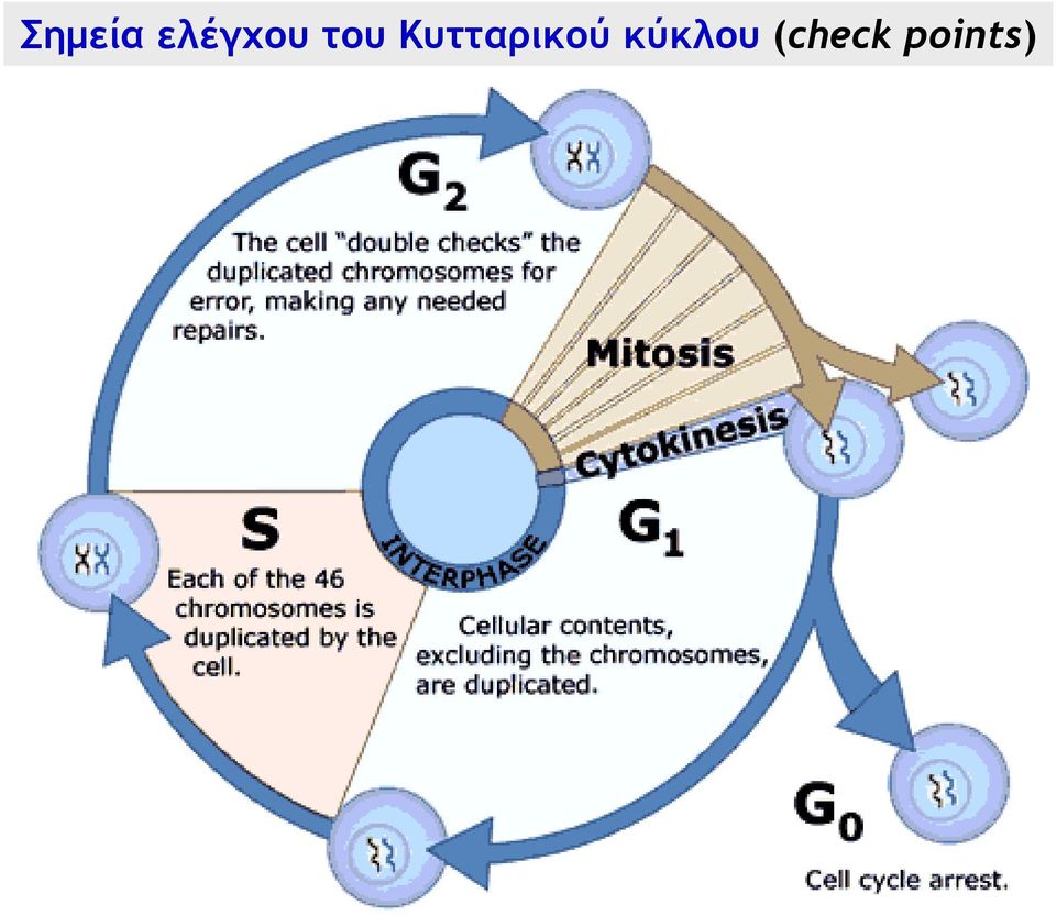 Κυτταρικού