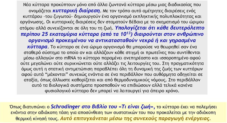 Οι κυτταρικές διαιρέσεις δεν σταματούν βέβαια με το σχηματισμό του ώριμου ατόμου αλλά συνεχίζονται σε όλη του τη ζωή.