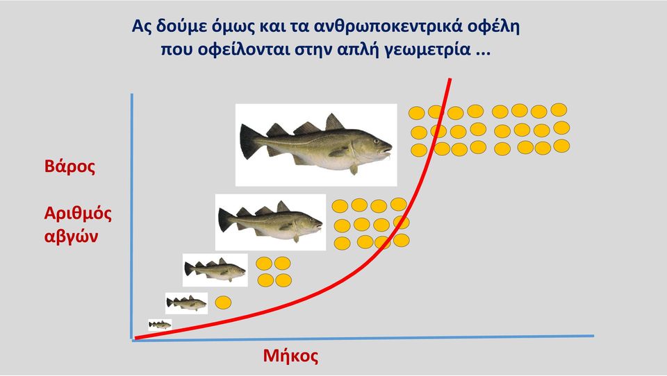 οφείλονται στην απλή