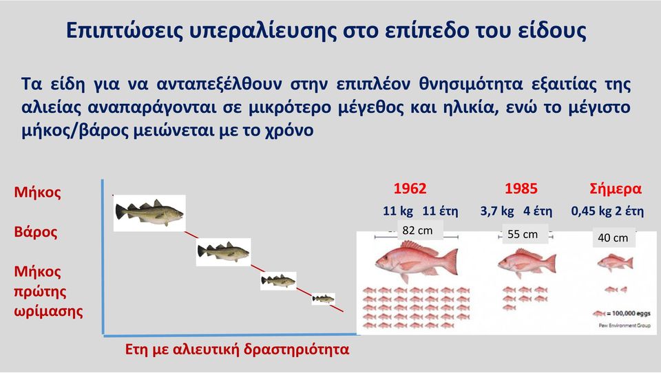 μέγιστο μήκος/βάρος μειώνεται με το χρόνο Μήκος Βάρος 1962 1985 Σήμερα 11kg 11 έτη 3,7 kg