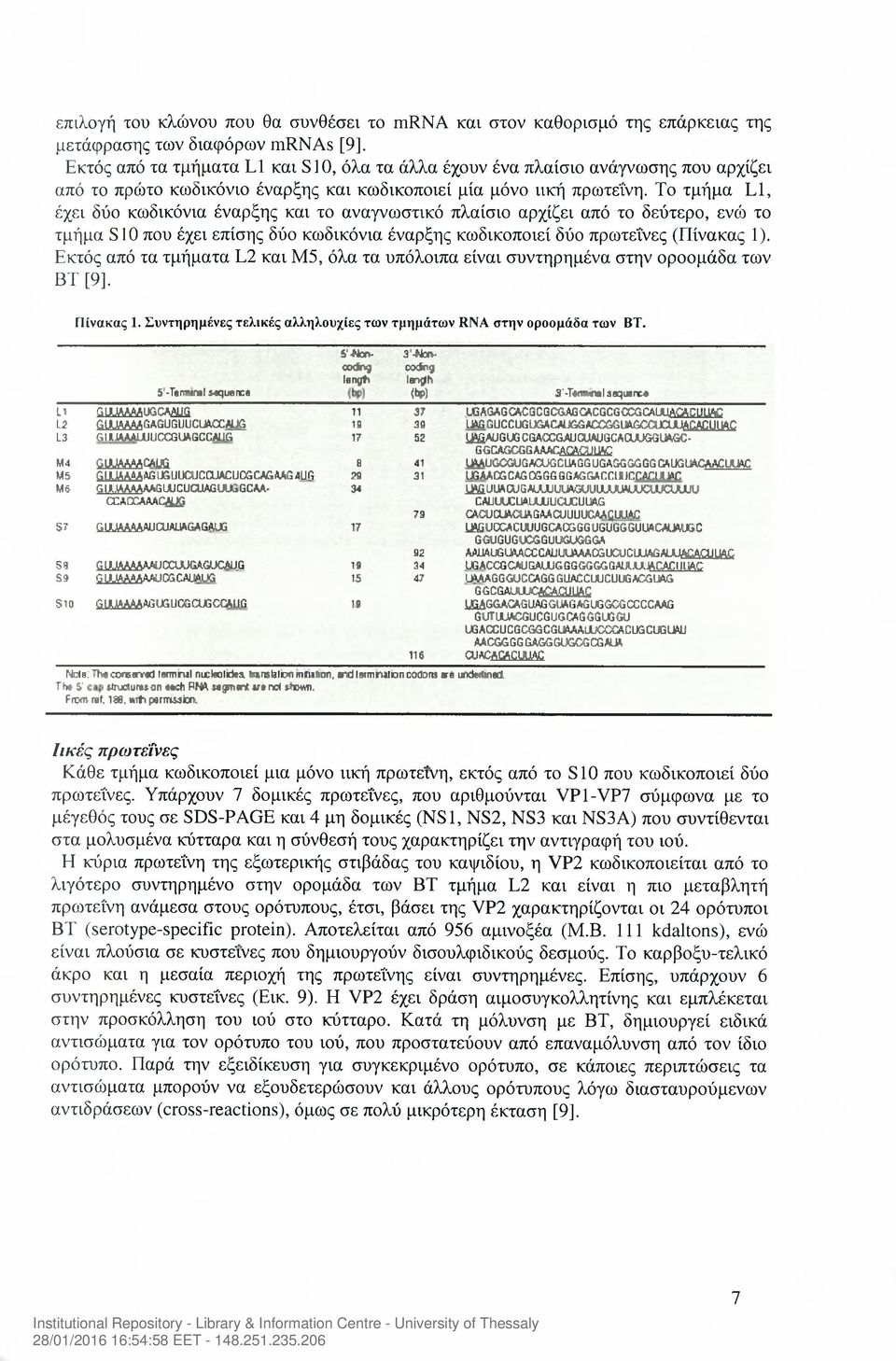 Το τμήμα L1, έχει δύο κωδικόνια έναρξης και το αναγνωστικό πλαίσιο αρχίζει από το δεύτερο, ενώ το τμήμα S10 που έχει επίσης δύο κωδικόνια έναρξης κωδικοποιεί δύο πρωτεΐνες (Πίνακας 1).