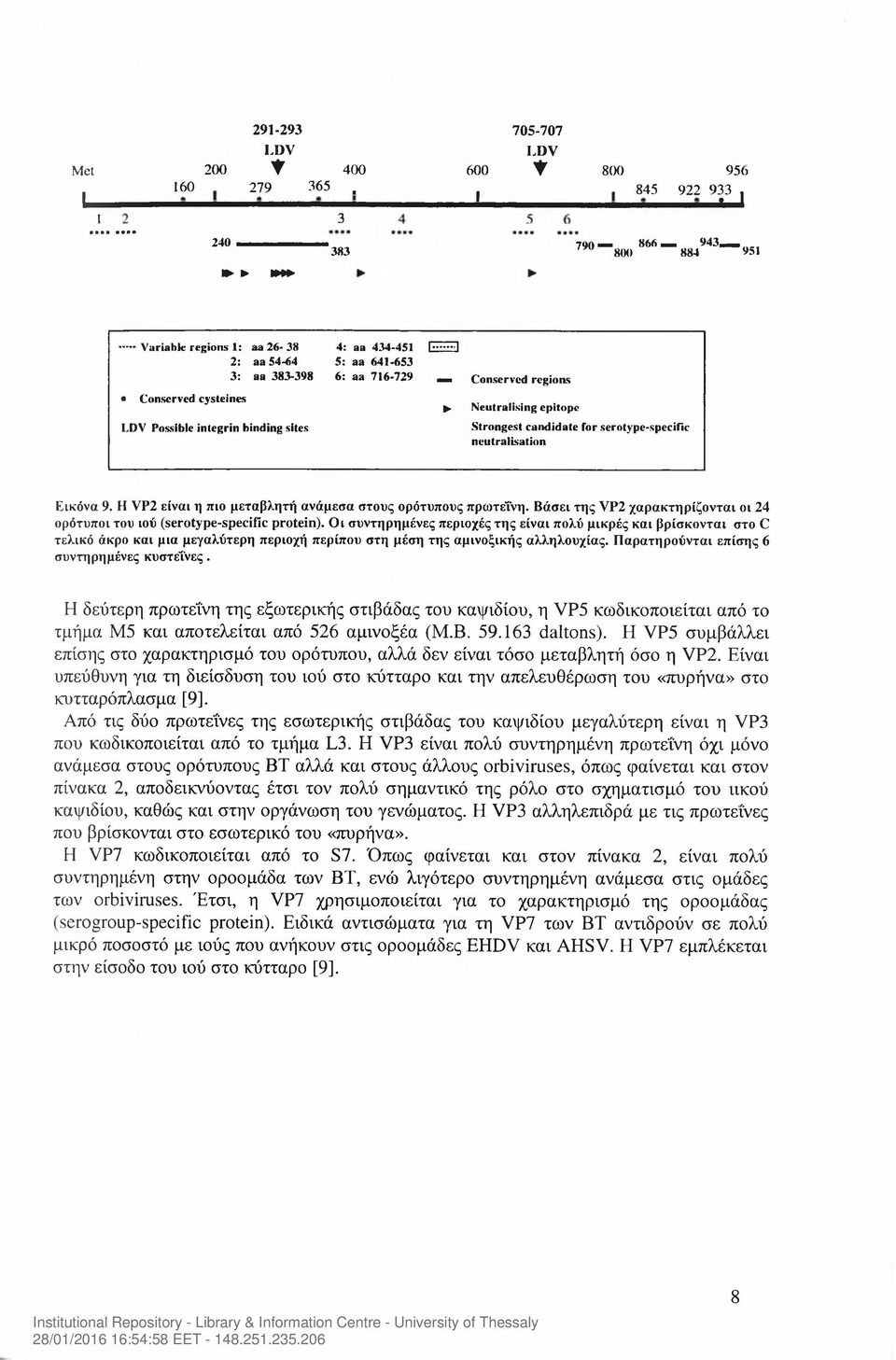 epitope Strongest candidate for serotype-specific neutralisation Εικόνα 9. H VP2 είναι η πιο μεταβλητή ανάμεσα στους ομότυπους πρωτεΐνη.